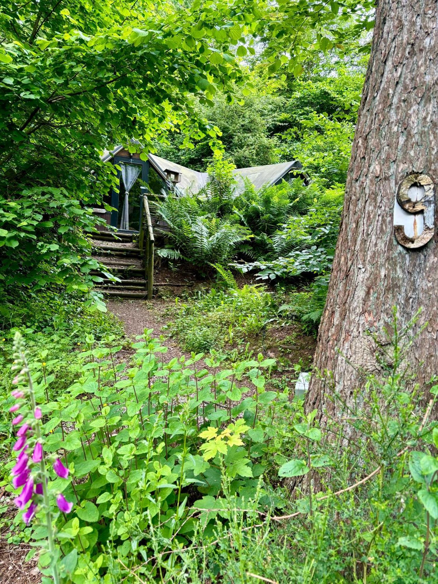 Gesves Chalet Scandinave Avec Sauna Ir - In The Woods מראה חיצוני תמונה